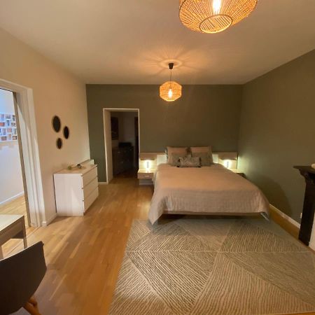 Le Gonzague, Appartement Hyper-Centre Tout Confort. Charleville-Mézières Eksteriør billede